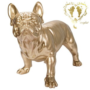 @傫ȁyX[XS[h̃t`EuhbOz@S[hF@ u@K[fjO GgX rO  CeAu EGJ o}@Woobia