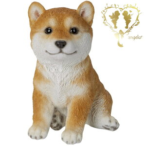 yČijz hbOyK[fjOG݁z{  ցyuzČ K[f G I[ig u  o}  WooBia