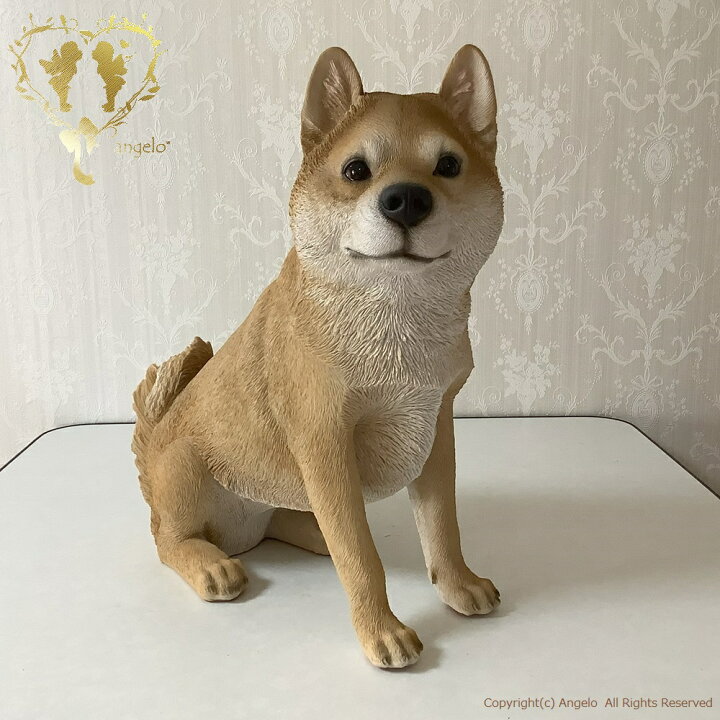楽天市場】【決算売り尽くしぜーんぶクーポンで10％OFF】送料無料 犬の 