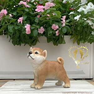 yHczK[fjOG݁@ ֒ K[fjO I[ig  CeAuyMtgΉzʎG݁yyz  l킢G݁@WooBia