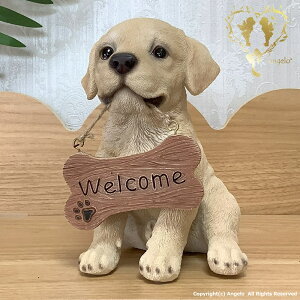 y悤uh[Ego[z ֒ K[fjO I[ig  CeAuyMtgΉzʎG  @WooBia