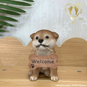 y悤HczK[fjOG݁@ ֒ K[fjO I[ig  CeAuyMtgΉzʎG݁yyz  l킢G݁@WooBia