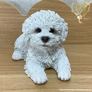 yQׂrWEt[[z@K[fjOG݁@ ֒ K[fjO I[ig  CeAuyMtgΉzʎG݁yyz  l킢G݁@Woo