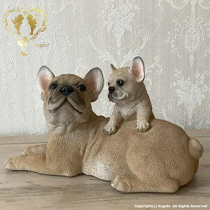 NEWyzyeqt`EuhbOz@K[fjOG݁@ ֒ K[fjO I[ig  CeAuyMtgΉzʎG݁yyz  l