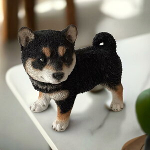 yz@DOG@yČz@K[fjOG݁@ ֒ K[fjO I[ig  CeAuyMtgΉzʎG݁yyz  l킢G Wo