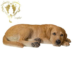 yzyԂ uh[ go[z@{  hbO u@K[fjO GgX rO  CeAu EGJ o}@Woobia