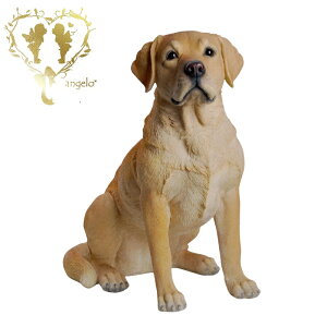 y胉uh[Ego[ijz@{  hbO u@K[fjO GgX rO  CeAu EGJ o}@Woobia