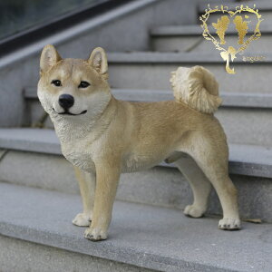 yzyɗČijz@{  hbO u@K[fjO GgX rO  CeAu EGJ o}@Woobia