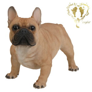 yzyt`EuhbOijz@{  hbO u@K[fjO GgX rO  CeAu EGJ o}@Woobia