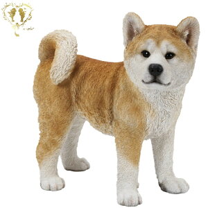 yzyEHcijz@{  hbO u@K[fjO GgX rO  CeAu EGJ o}@Woobia