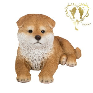 yzyQׂHcz@{  hbO u@K[fjO GgX rO  CeAu EGJ o}@Woobia