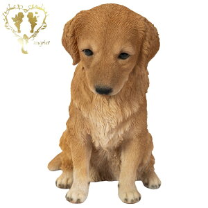 yzyS[fEgo[z@{  hbO u@K[fjO GgX rO  CeAu EGJ o}@Woobia