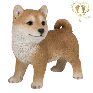 yzyČz@{  hbO u@K[fjO GgX rO  CeAu EGJ o}@Woobia