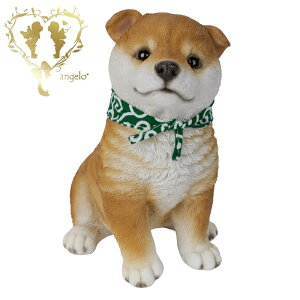 yzy蓤Čijz@{  hbO u@K[fjO GgX rO  CeAu EGJ o}@Woobia