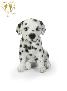 y_VAz@{  hbO u@K[fjO GgX rO  CeAu EGJ o}@Woobia