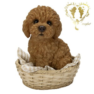 y|v[h bhz@{  hbO u@K[fjO GgX rO  CeAu EGJ o}@Woobia