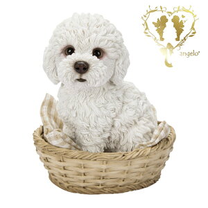 y|v[h Vz@{  hbO u@K[fjO GgX rO  CeAu EGJ o}@Woobia