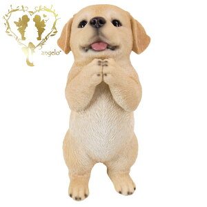 yzy˂胉uh[Ego[z@{  hbO u@K[fjO GgX rO  CeAu EGJ o}@Woobia