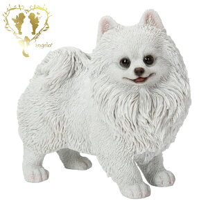 yE|jA Vz@{  hbO u@K[fjO GgX rO  CeAu EGJ o}@Woobia