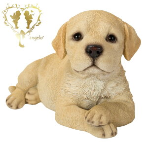 yzyԂuh[z@{  hbO u@K[fjO GgX rO  CeAu EGJ o}@Woobia