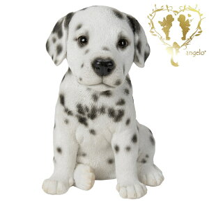 yzy_VAijz@{  hbO u@K[fjO GgX rO  CeAu EGJ o}@Woobia