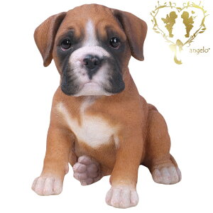 yzy{NT[z@{  hbO u@K[fjO GgX rO  CeAu EGJ o}@Woobia