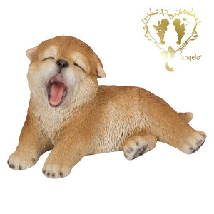 yzyтĂHcz@{  hbO u@K[fjO GgX rO  CeAu EGJ o}@Woobia