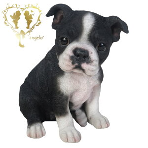 yE{XgEeAz@{  hbO u@K[fjO GgX rO  CeAu EGJ o}@Woobia