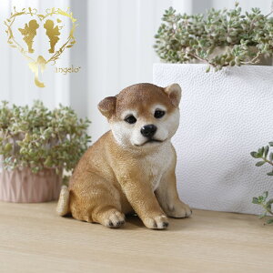 yEHcz@{  hbO u@K[fjO GgX rO  CeAu EGJ o}@Woobia