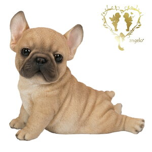 y z yXgb` t`EuhbOz {  ցyuz K[f G I[ig u  o}  Woobia