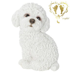 yzyUԂgCv[h ijz@{  hbO u@K[fjO GgX rO  CeAu EGJ o}@Woobia