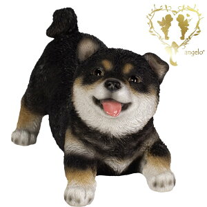 yzyԍČz@{  hbO u@K[fjO GgX rO  CeAu EGJ o}@Woobia