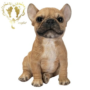 y z yグt`uhbOz {  ցyuz K[f G I[ig u  o}  Woobia