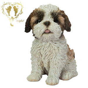 yzyグV[Y[z@{  hbO u@K[fjO GgX rO  CeAu EGJ o}@Woobia