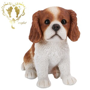 yLoAijzDOG@ǉ@K[fjOG݁@ ֒ I[ig  CeAuyMtgΉzʎG  l킢G݁@Woobia