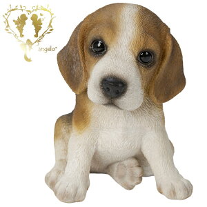 yzyr[OzDOG@K[fjOG݁@ ֒ K[fjO I[ig  CeAuyMtgΉzʎG݁yyz  l킢G݁@