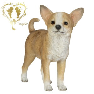 yzy`z@{  hbO u@K[fjO GgX rO  CeAu EGJ o}@Woobia