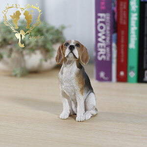 yzyr[OijzDOG@K[fjOG݁@ ֒ K[fjO I[ig  CeAuyMtgΉzʎG݁yyz  l킢