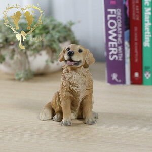 yzyS[fEgo[ijz@{  hbO u@K[fjO GgX rO  CeAu EGJ o}@Woobia