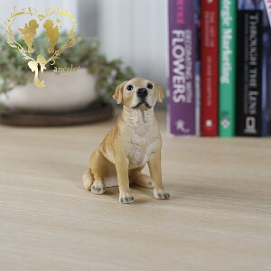 yzy胉uh[Ego[ijz@{  hbO u@K[fjO GgX rO  CeAu EGJ o}@Woobia