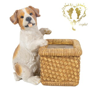 yŗVԃWbNbZeAz rO@K[f G I[ig u  o}  WooBia