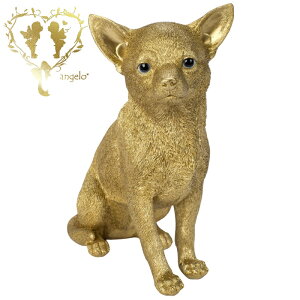 yz@S[hFy`@S[hz@  K[fjO I[ig  CeAuyMtgΉz  l킢G Woobia