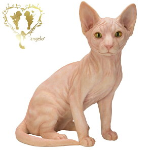  @傫ȃTCYŁyXtBNXznCGhLbg@ CAT@{ ց@K[f G I[ig u  o}  WooBia