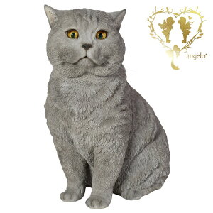 ySi|Cg10{z 傫ȃTCYŁyueBbV V[gwA[z nCGhLbg@CAT { ց@K[f G I[ig u  o