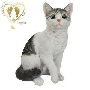  傫ȃTCYŁyTogL ()z CAT@{ ց@K[f G I[ig u  o}  WooBia
