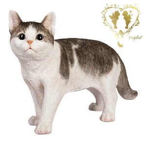  傫ȃTCYŁyTogL(jz CAT@{ ց@K[f G I[ig u  o}  WooBia