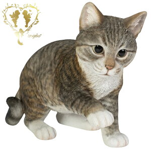  傫ȃTCYŁyėVԃTogLz CAT@{ ց@K[f G I[ig u  o}  WooBia