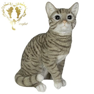  傫ȃTCYŁyTogLz CAT@{ ց@K[f G I[ig u  o}  WooBia