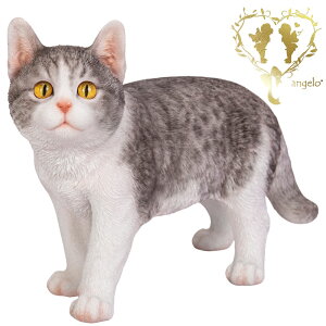  yグTogLz CAT@{ ց@K[f G I[ig u  o}  WooBia