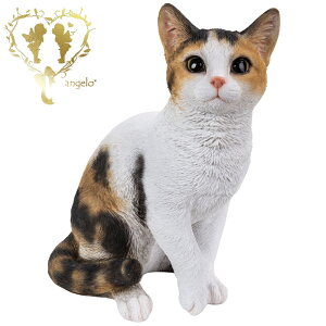  傫ȃTCYŁyEOєLijz CAT@{ ց@K[f G I[ig u  o}  WooBia